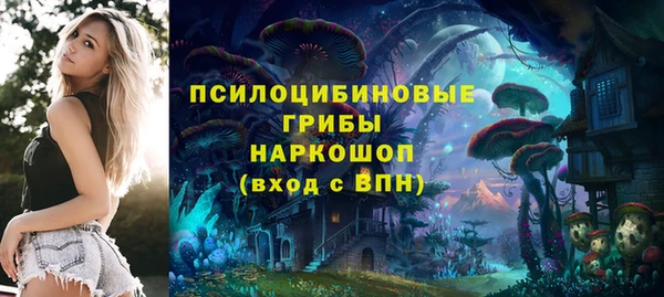 мет Армянск