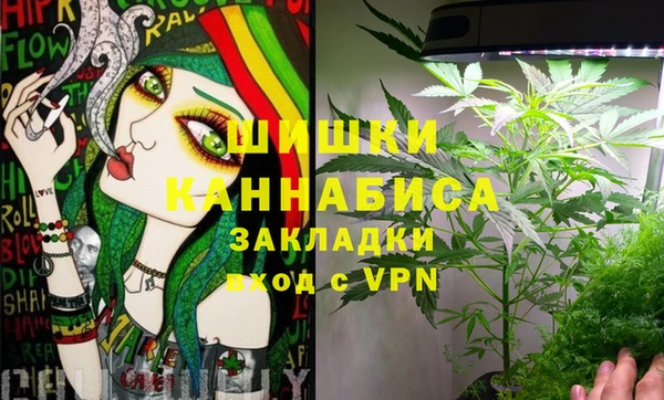 эйфоретик Аркадак