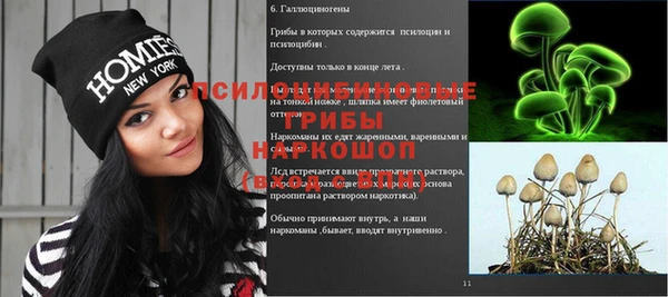 эйфоретик Аркадак