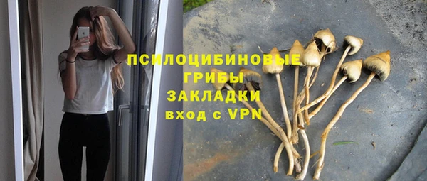 эйфоретик Аркадак